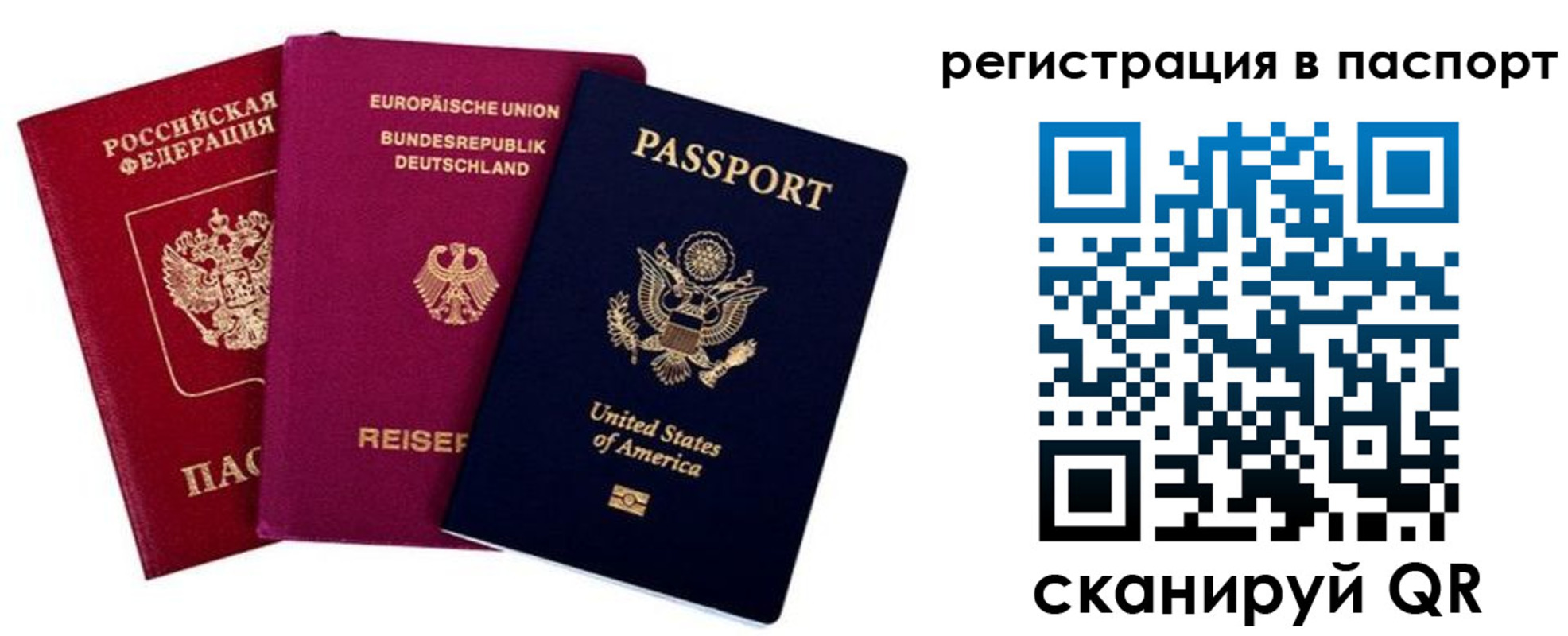 прописка поиск в Хабаровске